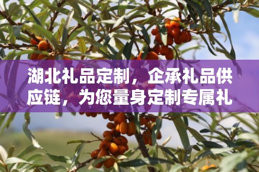 湖北礼品定制，企承礼品供应链，为您量身定制专属礼品
